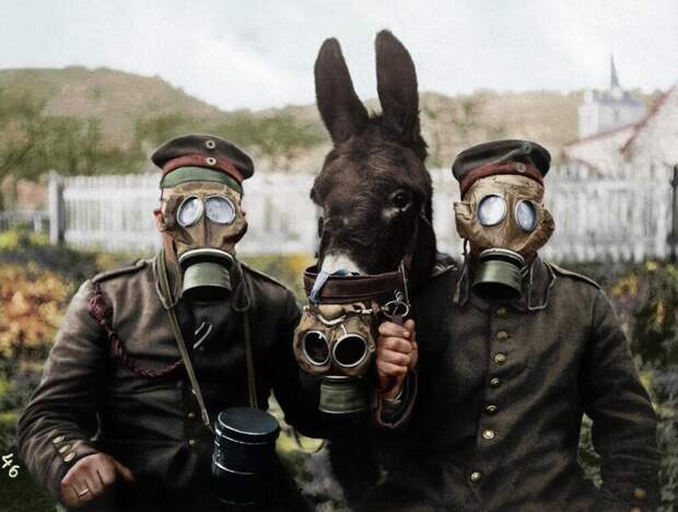 Фотоподборка