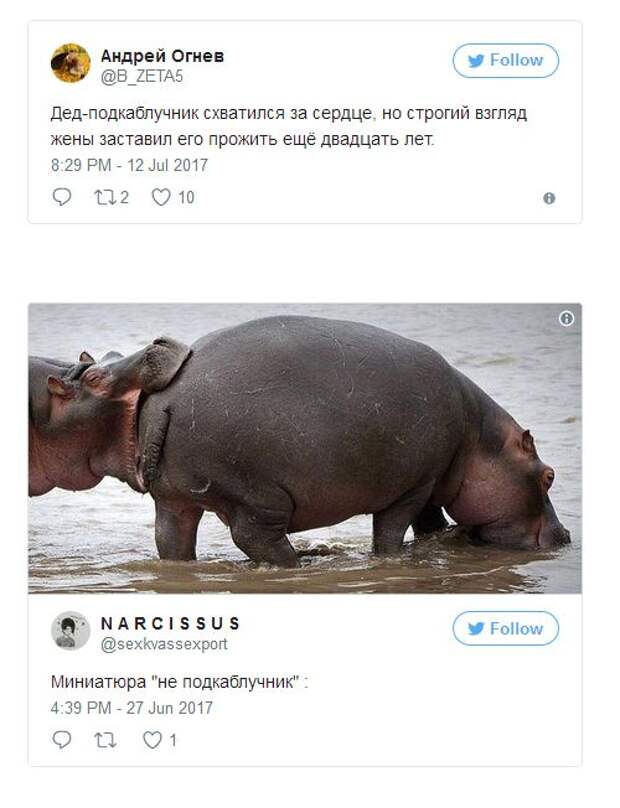 О подкаблучниках и женщинах, привыкших доминировать (14 фото)