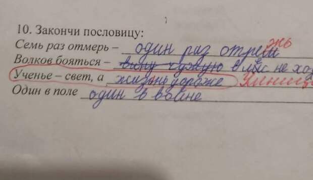 Подборка странных и забавных замечаний от учителей Подборка странных и забавных замечаний от учителей