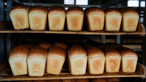 «Доля была небольшой»: россиянам объяснили, зачем создают новые ГОСТы