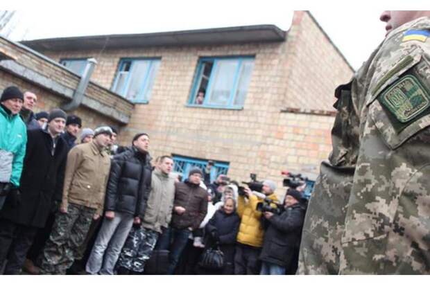 ВСУ: «Враг заберет этот скот себе в армию. И тот станет воевать за РФ, а не за Украину»