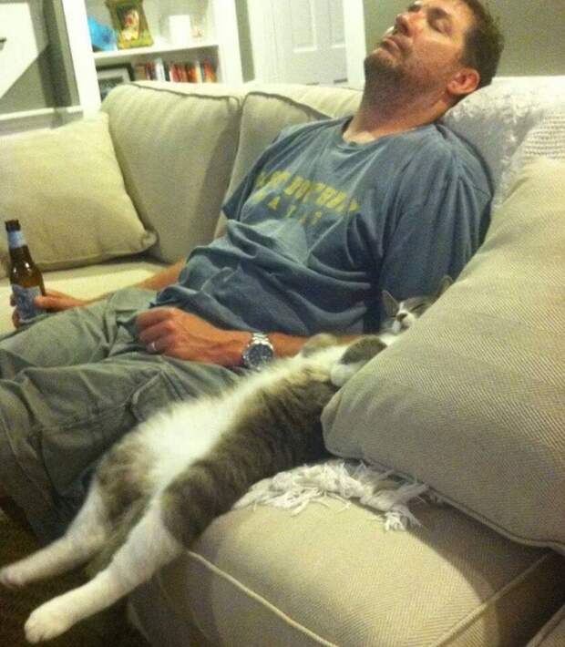 Мужик с котом спят в кресле комфорт, прикол