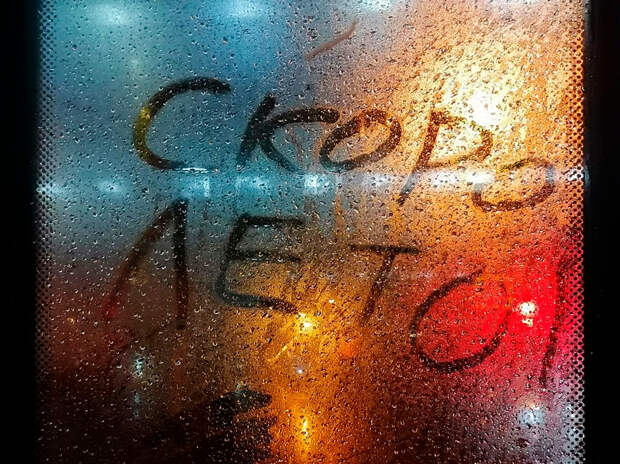 Охота начнется в марте: клещи проснутся раньше обычного