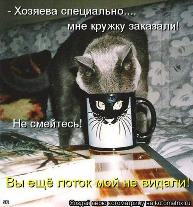Мысли вслух :)
