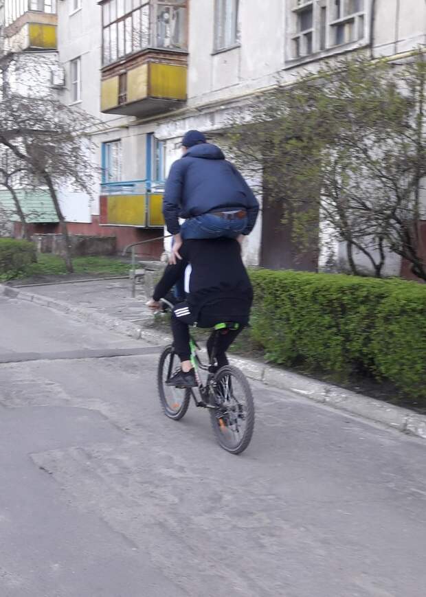 Цирк Цирк