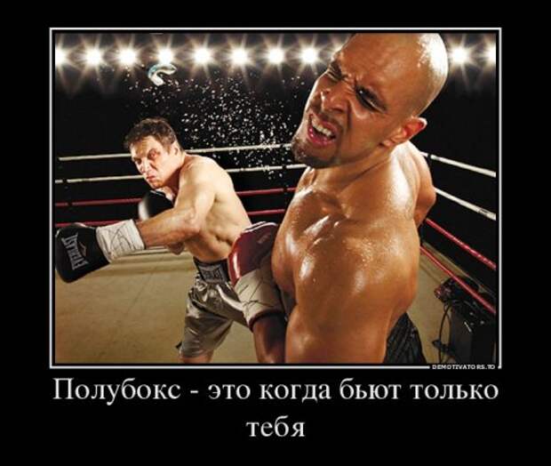 Демотиваторы-приколы (12 шт)