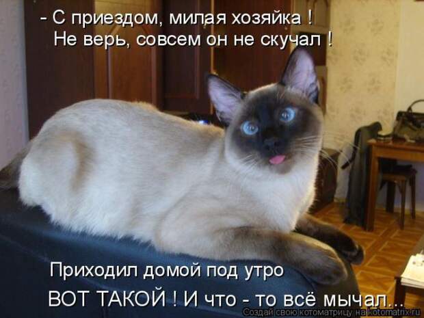 Мысли вслух :)