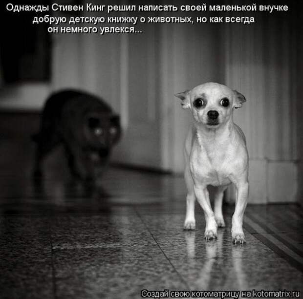 Сборник весёлых котоматриц (35 шт)