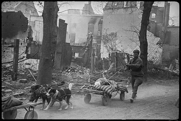 Берлин 1945 года в объективе Валерия Фоминского вов, ностальгия, фронтовые фотокорреспонденты