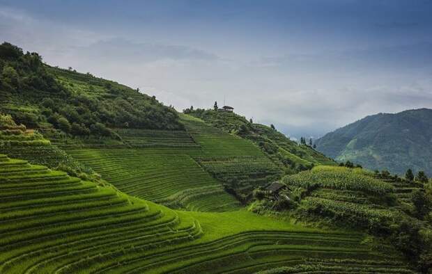 Рисовые террасы на горном хребте Лоншен в провинции Гуаньси виды, города, китай, красота, необыкновенно, пейзажи, удивительно, фото