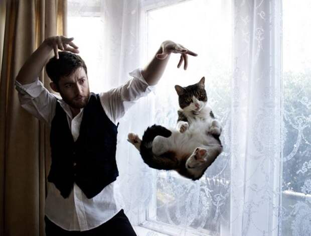 Неотразимые котэ