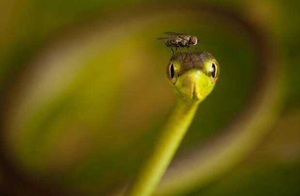 NatGeoContest10 Фотоконкурс от журнала National Geographic Traveler 2013 (Часть 3)