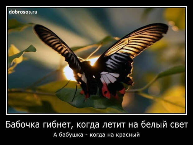 Демотиваторы: смешные демотиваторы, приколы со смыслом ...