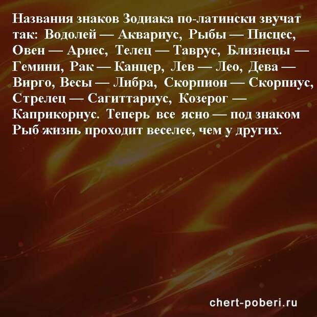 Самые смешные анекдоты ежедневная подборка chert-poberi-anekdoty-chert-poberi-anekdoty-54130111072020-12 картинка chert-poberi-anekdoty-54130111072020-12