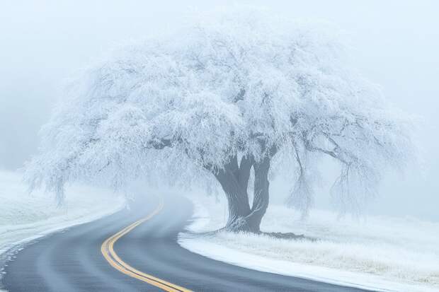 Что нельзя делать 17 февраля, иначе появятся болезни и враги