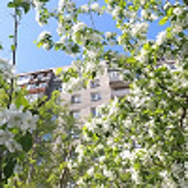 Как россияне будут работать на майских каникулах