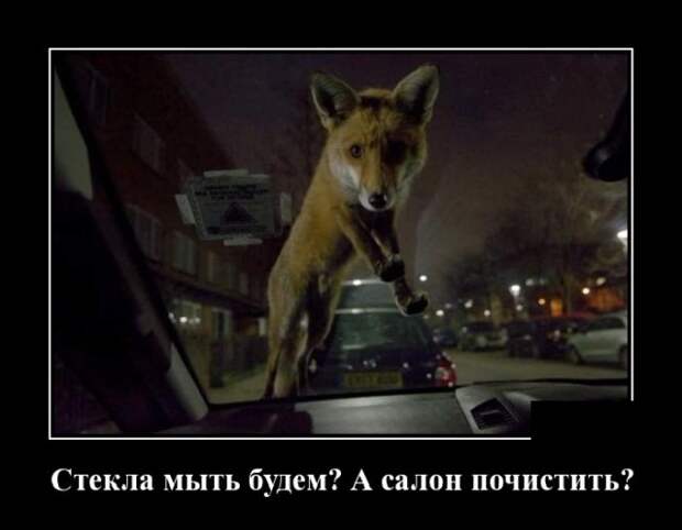 Демотиваторы 30 июля 2021