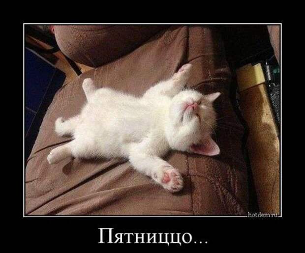 Такие прикольные демотиваторы