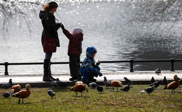 Милонов: налог на бездетность не повысил бы рождаемость
