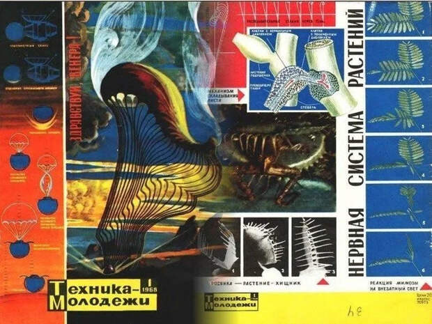Научно-популярный журнал "Техника-молодежи" Научпоп, Наука, Журнал, СССР, Литература, Длиннопост