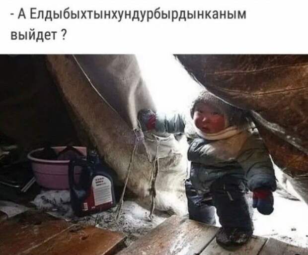 kartinok-interesnyh-prikolnyh-kartinki-smeshnye-kartinki-fotoprikoly