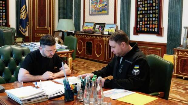 Примитивная фауна укро-власти: шпорцевый Буданов* для семейства пипового Зеленского