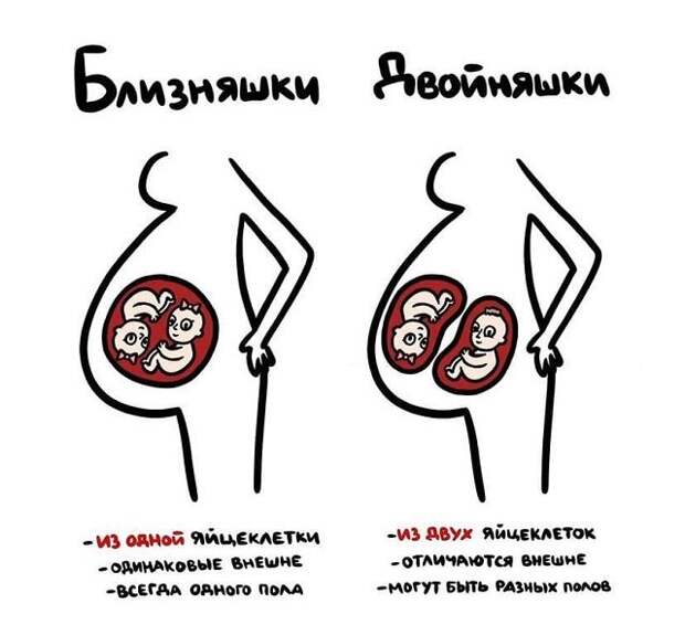 Забавные подсказки о вещах и понятиях, которые люди часто путают