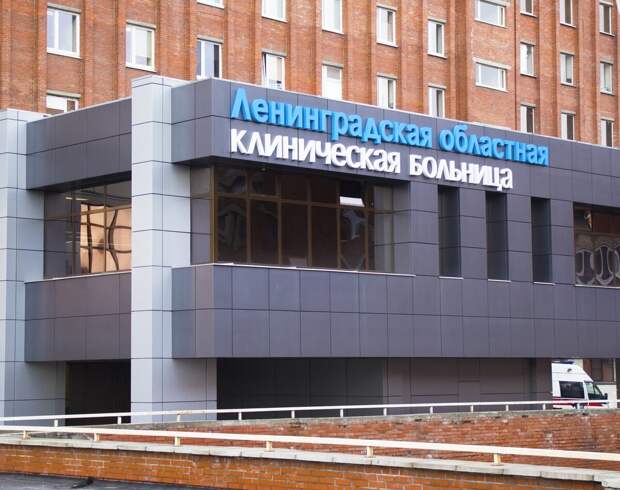 фото яндекс-картинки