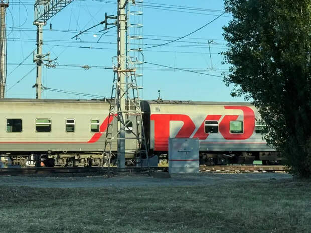 Минус 50% от цены билета: РЖД утвердило список льготников