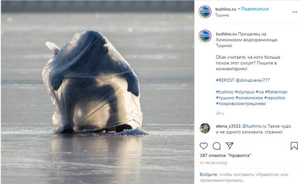Фото дня: пришелец на льду Химкинского водохранилища