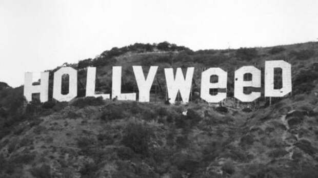 В Лос-Анджелесе хулиган испортил известный знак Hollywood