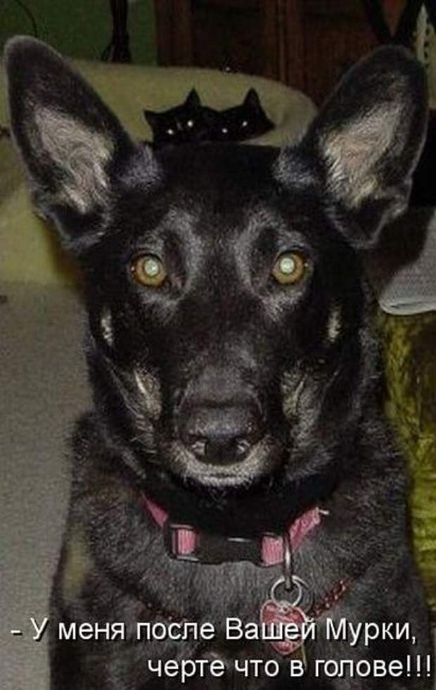 cab2181c19cbc37680f1f79d466