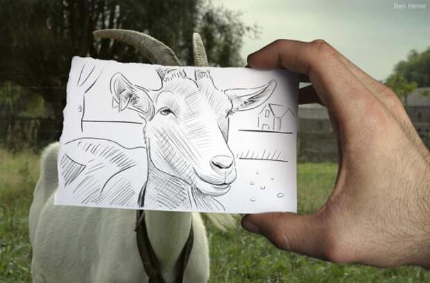 фотографии и рисунки