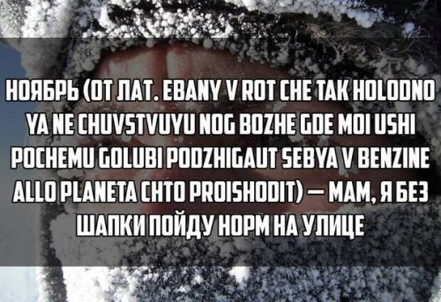 Прикольные фотомемы (27 фото)