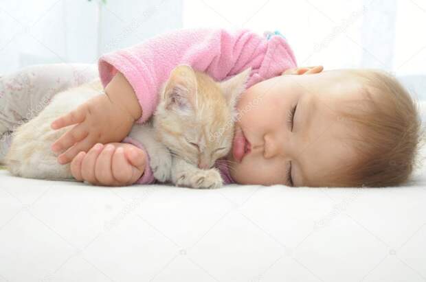 Картинки по запросу фото ребенок спит с кошкой
