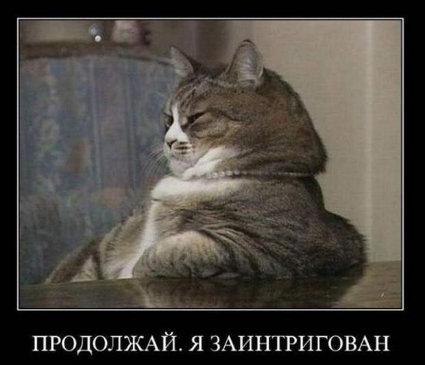 Прикольные демотиваторы для хорошего настроения (10 фото) Прикольные демотиваторы для хорошего настроения (10 фото)