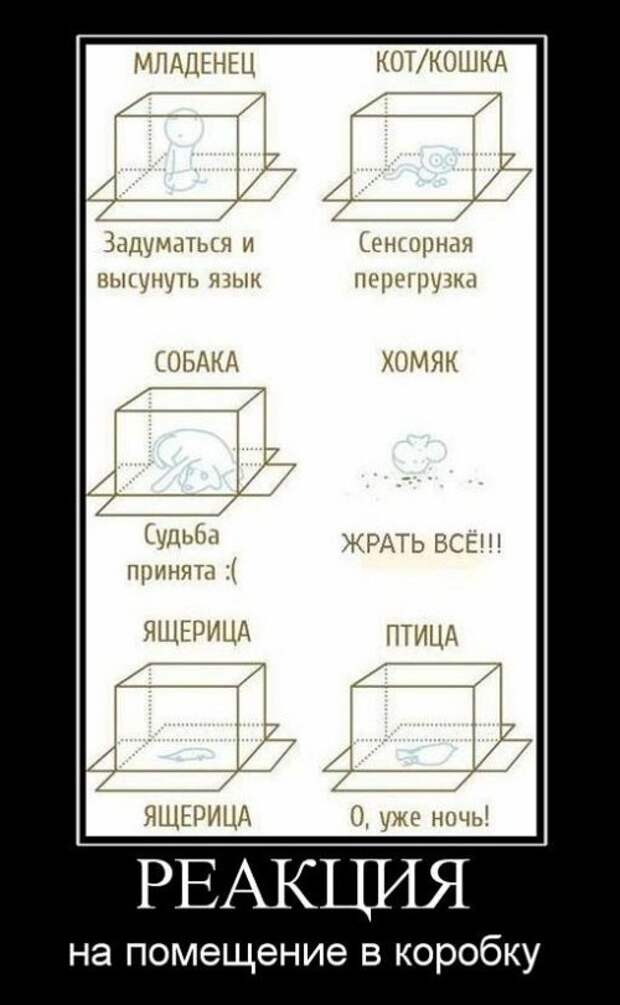 www.vsyako.net