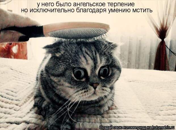 Мысли вслух :)