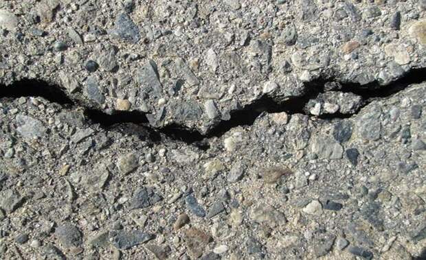 Если черный кот дорогу перейдет: современные суеверия, в которые нам очень нравится верить