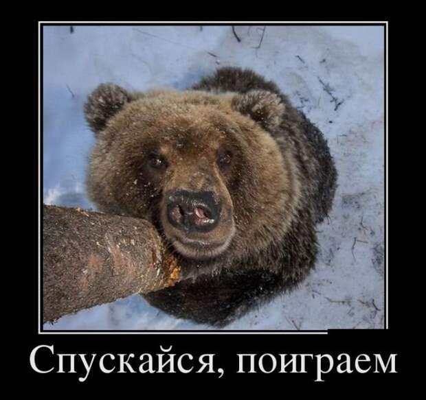 Вот смотрю на твой джип...и думаю...не такой уж ты и урод... Вот смотрю на твой джип...и думаю...не такой уж ты и урод...