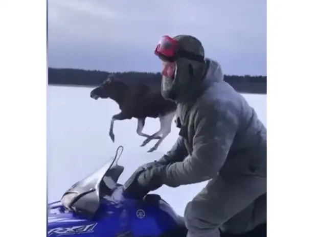 охотник преследования