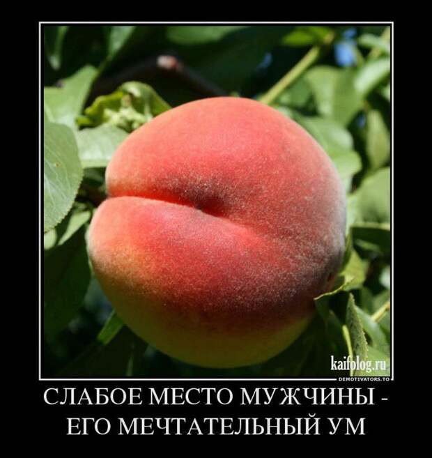Демотиваторы про отношения и совместную жизнь (55 фото) Демотиваторы про отношения и совместную жизнь (55 фото)