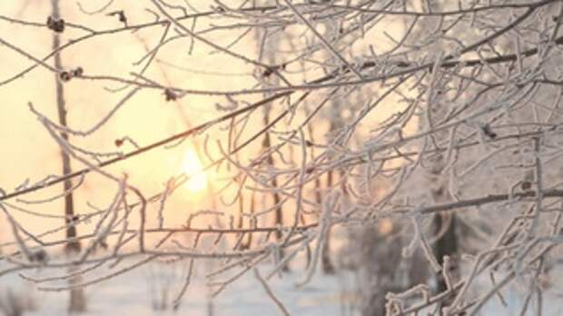 Барнаул зимой / Фото: amic.ru