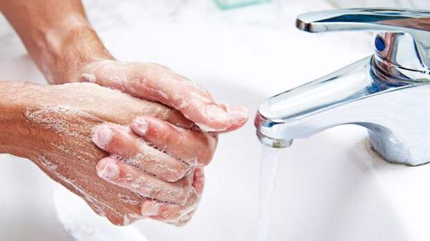 Обязательно следует помыть руки. /Фото: alfadez.ru.