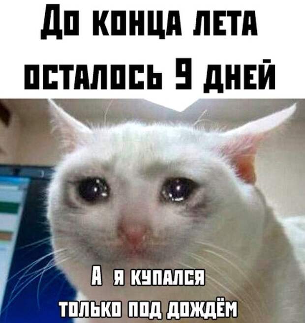 www.vsyako.net