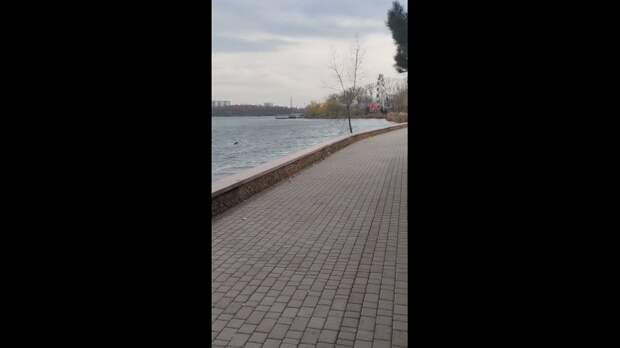 Video: Видео от Донецкая группа новостей|Донецк.ДНР