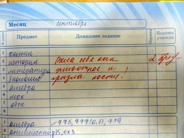25 смешных замечаний в школьных дневниках 25 смешных замечаний в школьных дневниках