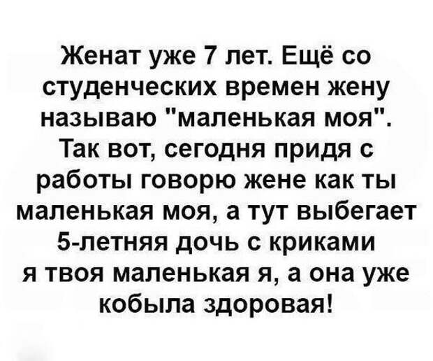 Подборка из смешных анекдотов, которые развеселят по-настоящему