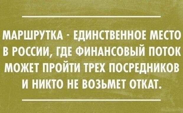 Злободневные цитаты. Голосуйте!