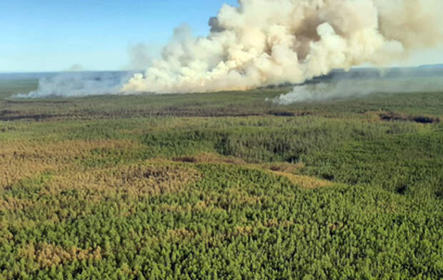 Площадь лесных пожаров в Якутии выросла в три раза